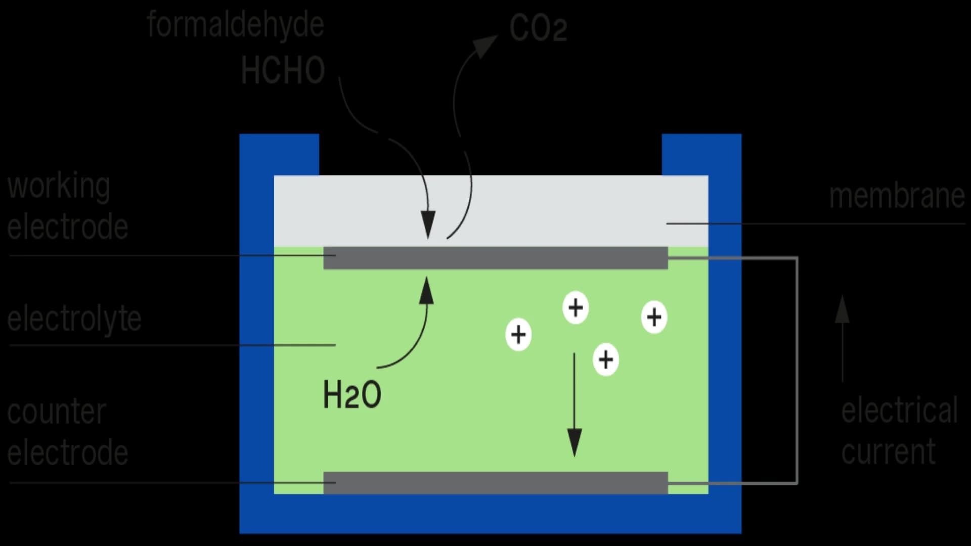 No alternate text provided