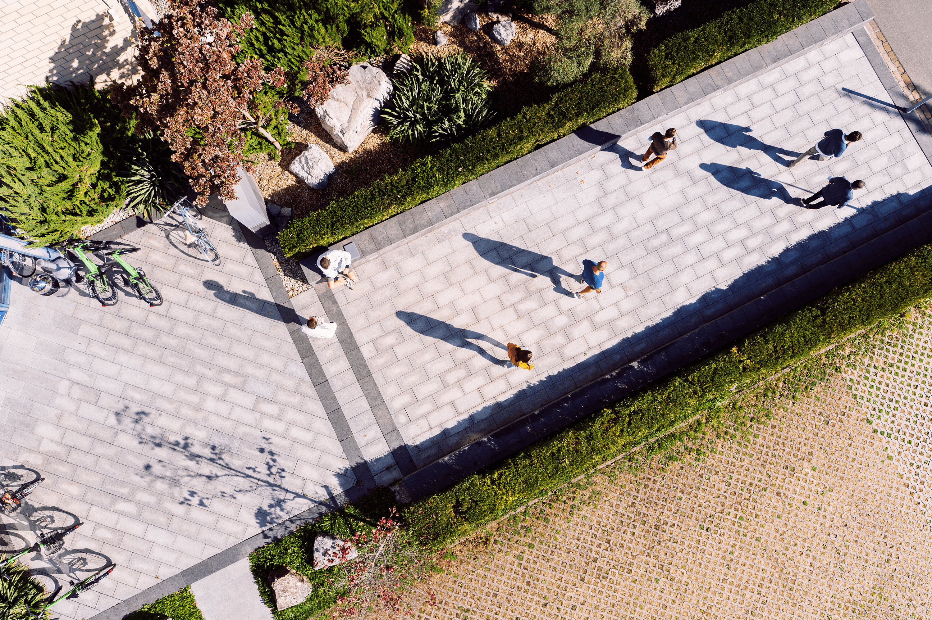 No alternate text provided