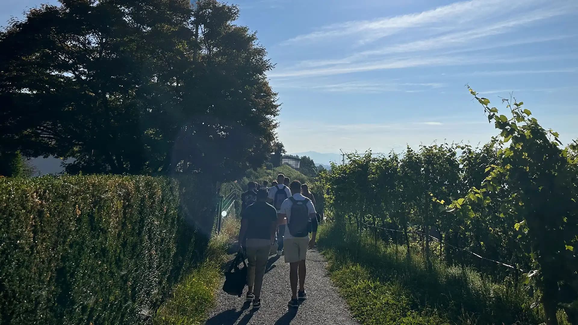 No alternate text provided