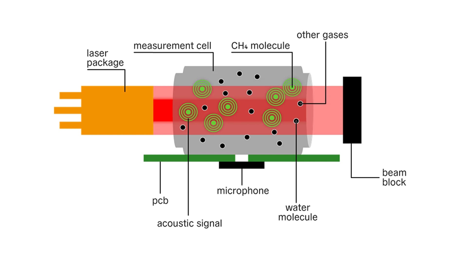 No alternate text provided