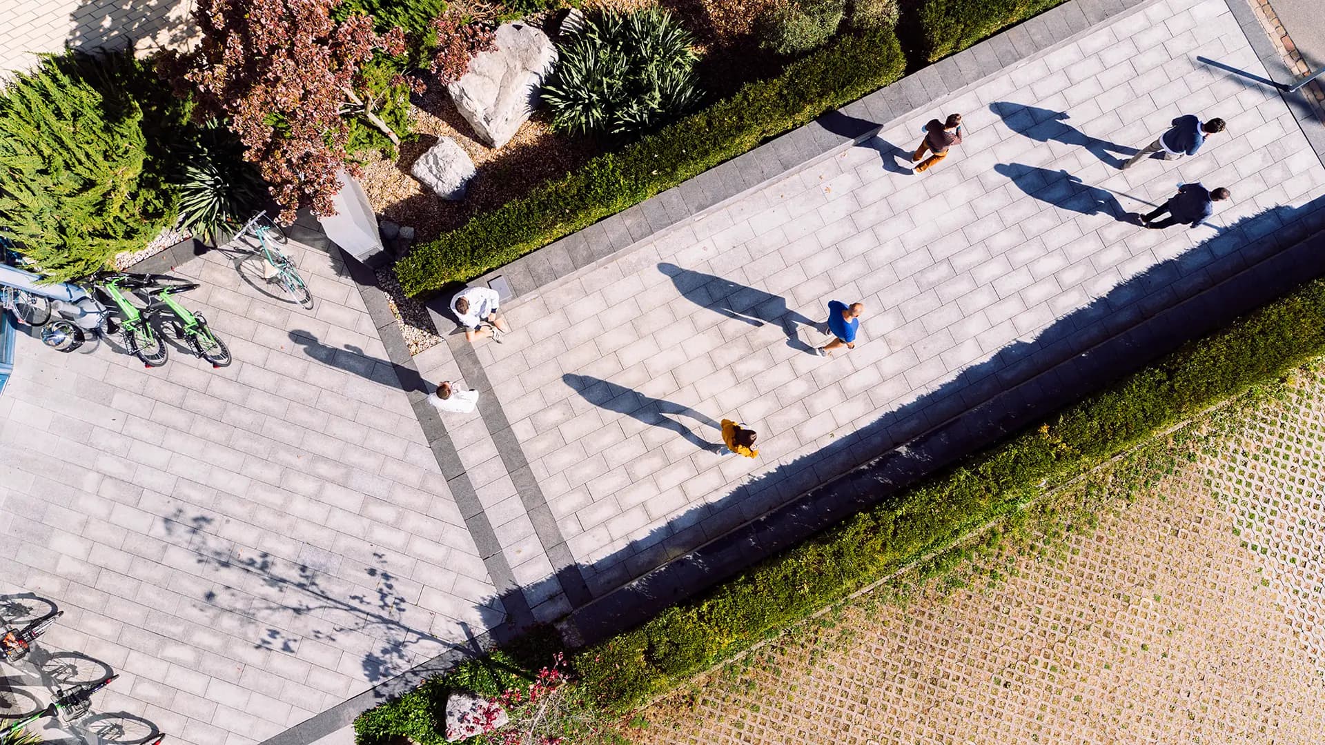 No alternate text provided