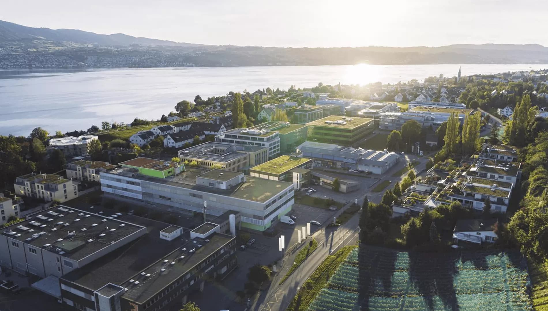 No alternate text provided