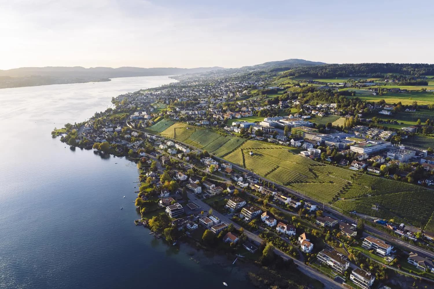 No alternate text provided